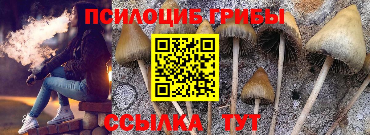 Галлюциногенные грибы прущие грибы  Вход с VPN  Октябрьский 