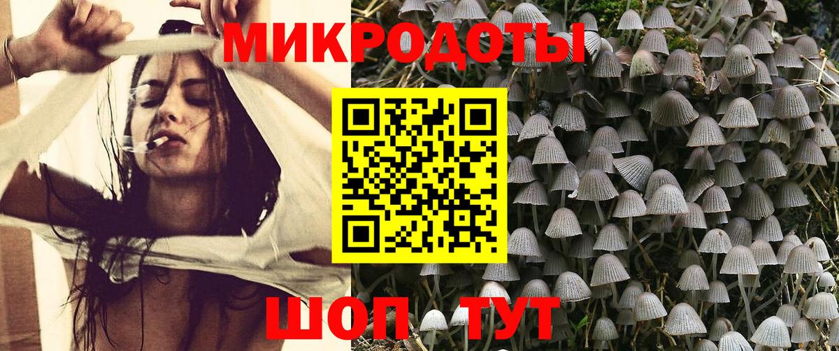 Галлюциногенные грибы мицелий Октябрьский